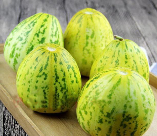 花蕾甜瓜整体外观特写