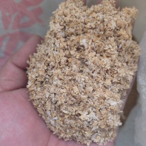 麦麸，大片，中片，混麦麸，五得利，金沙河，华龙，大量供应