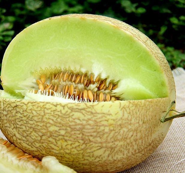 切开的白兰瓜展示内部结构