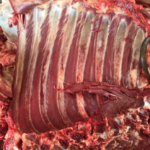 新鲜驴肉批发