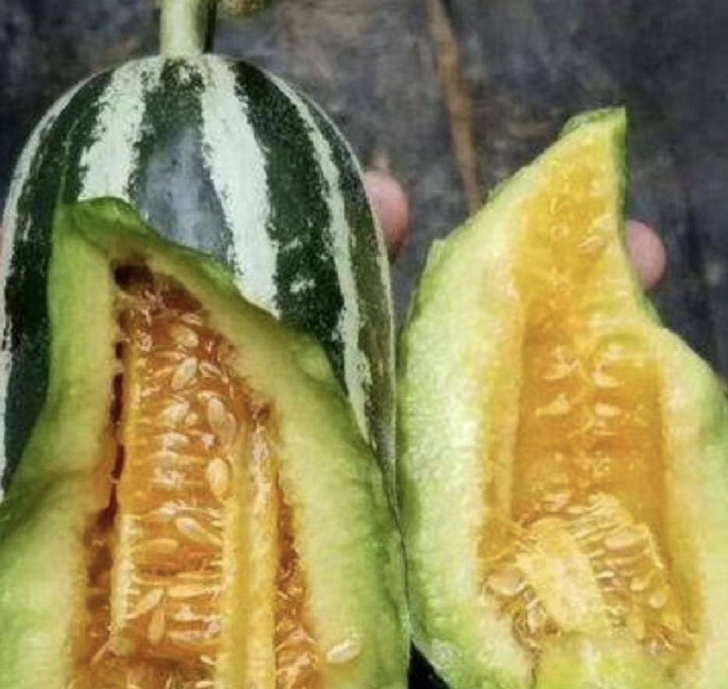 博洋甜瓜横切面高清特写:金黄果肉质地均匀无纤维,网纹凸起清晰,种子排列整齐,体现品种典型性状与高成熟度 博洋甜瓜切开特写图,展示金黄色脆嫩果肉、细密银灰网纹、深绿色果皮及黑褐色饱满种子,果肉表面有晶莹水珠,背景为浅木色砧板