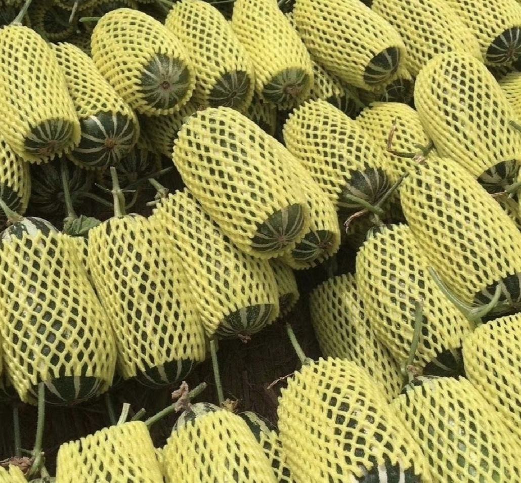 网纹瓜保存常见错误示例对比图 一张对比图展示三种错误保存方式:左侧为用普通塑料袋包裹的网纹瓜表面出现霉点;中间为切开后敞开放置的果盘;右侧为果蒂部位腐烂的剖面特写