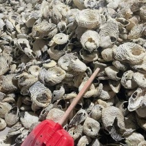 刺鱼皮，养颜美容，补充胶原蛋白。