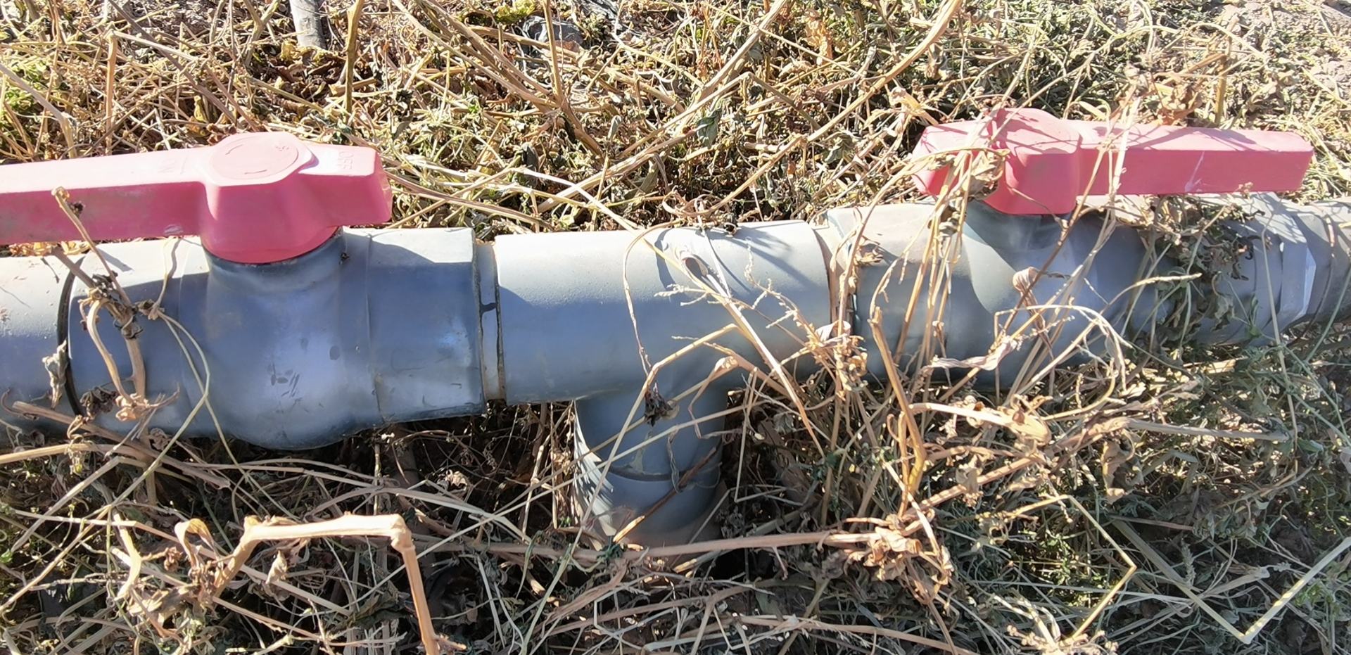 油菜田间灌溉与排水管理示意图 油菜田间管理示意图