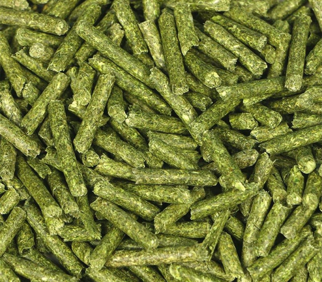 提摩西草与羽衣甘蓝碎叶混合饲喂对比图：左侧为纯提摩西草捆，右侧为按1:4比例混合的浅绿色混合料，底部放置兔用饮水壶与不锈钢食盆