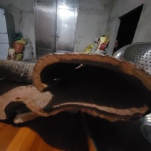 [革油陈桂]油层分明呈革质墨黑色久藏陈年玉桂厚肉桂