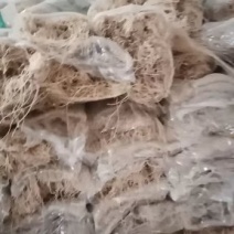 精品红薯粉条