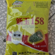 新玉158玉米种子抗旱抗倒大田春夏播红轴杂交玉米种子稳高