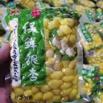 银杏苗，红枫苗，杨树苗，银杏果