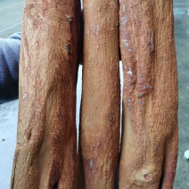 越南清化紫油桂桂皮长短大小多种规格