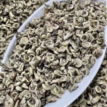 茉莉花银螺王浓香型茉莉花茶广西横州市原产地发货