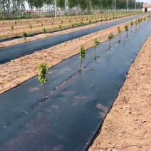 地布钉固定防草布反光膜河北永德助厂家