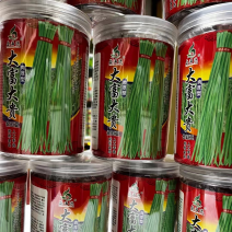 产地直发脆绿色厚肉型耐热豇豆种子品质保证