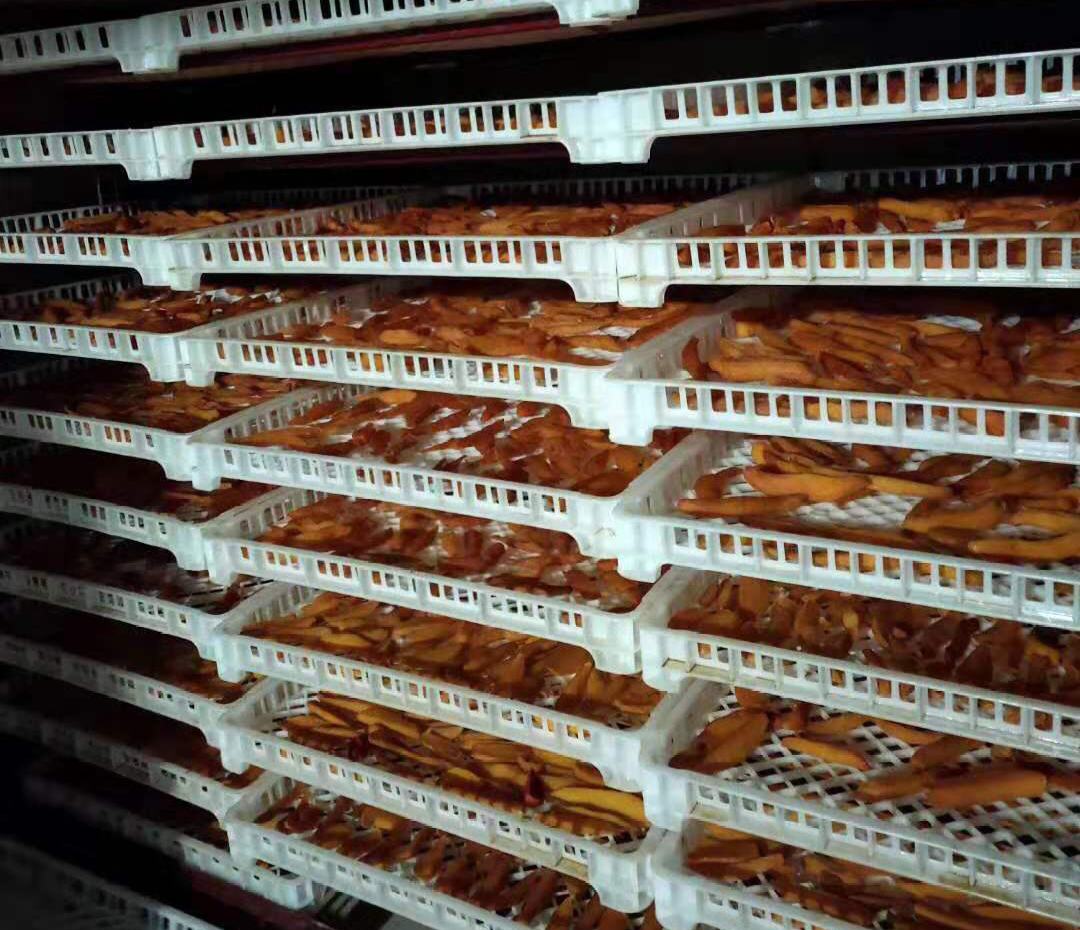 红薯烘烤工艺效果对比实景图,展示鲜薯切片与成品干片的色泽、形态、水分状态差异,用于直观说明设备对品质提升的关键作用 红薯烘烤前后对比图:左侧为新鲜紫薯切片(紫红色、湿润反光),右侧为同批次经8小时烘烤后的成品干片(深紫色、表面微起皱、质地酥脆)