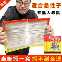 家用强力粘鼠板批发耗子粘贴老鼠贴抓老鼠粘板老鼠强力胶自带