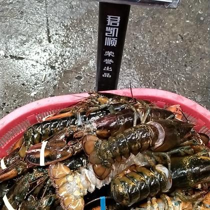 奥龙虾多少钱一斤图片