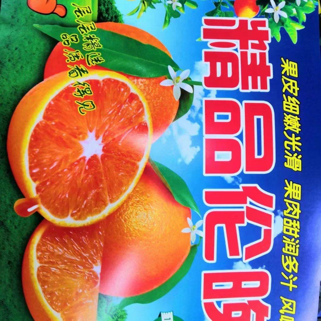 [伦晚脐橙批发]湖北宜昌秭归县橙子 0.60元/斤秭归正宗伦晚橙 _ 一亩田