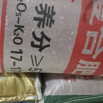 红小豆