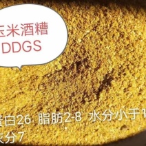 DDGS喷浆稻壳粉