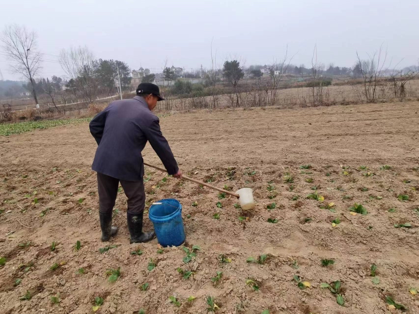 除草剂喷洒操作图