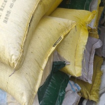 黄豆，蛋白含量40%水分13.1%