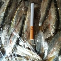 白条