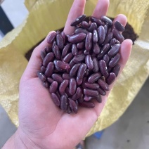 缅甸红腰豆