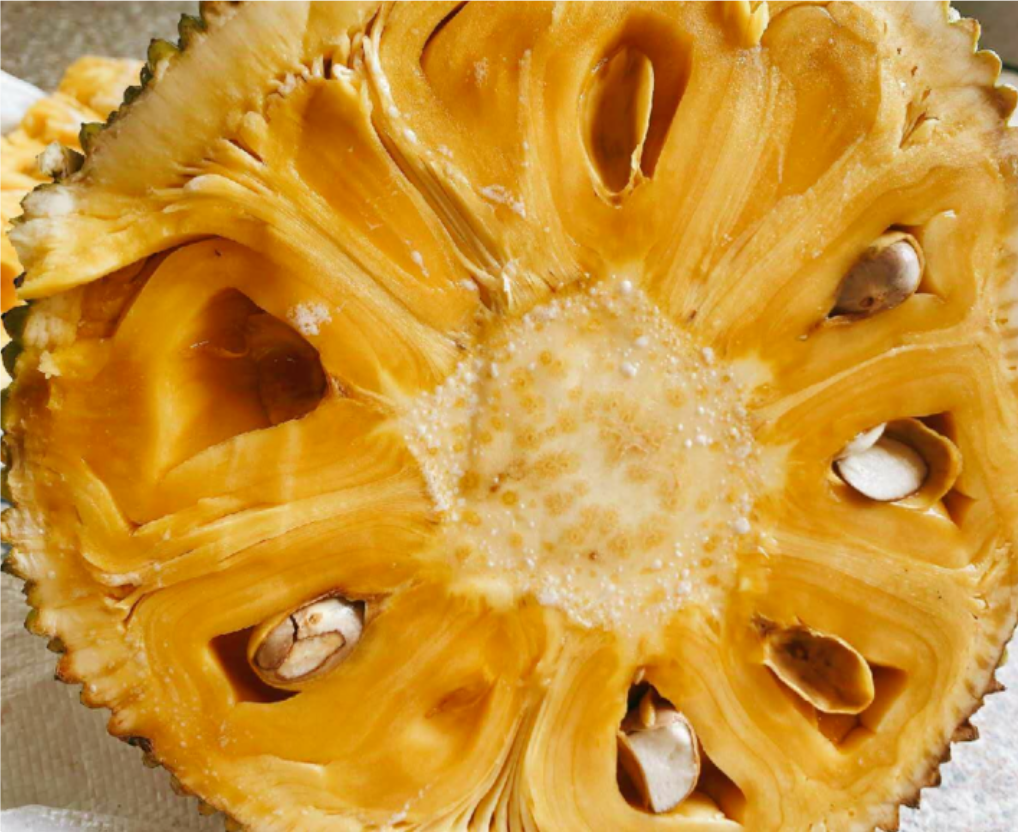 菠萝剖面图展示果肉与营养结构 菠萝剖面图展示果肉与营养结构