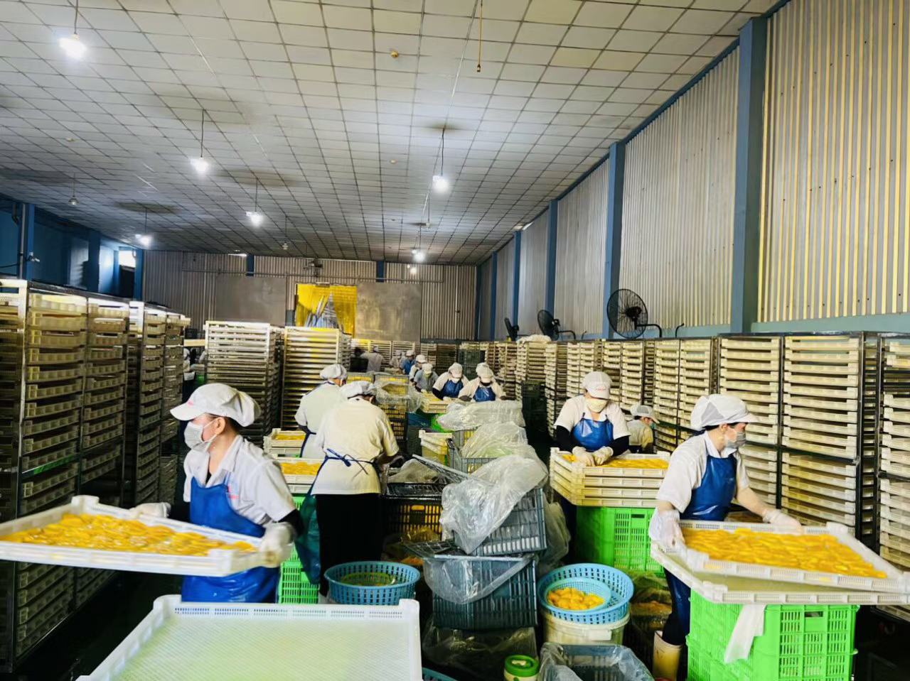 展示榨汁机正在榨取酥梨汁,旁边放置滤网与纱布进行过滤的步骤,背景为整洁的厨房操作台 酥梨榨汁与过滤过程