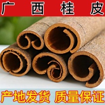 【广西桂乡桂皮】产地直销，肉厚浓香，多种桂皮供应