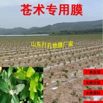 加厚农用薄膜药材专用膜苍术地黄粉防己生地打孔地膜银黑膜反