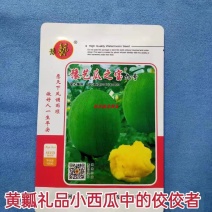 豫艺瓜之宝九号礼品西瓜种子皮薄单株座果3个感口好果肉黄