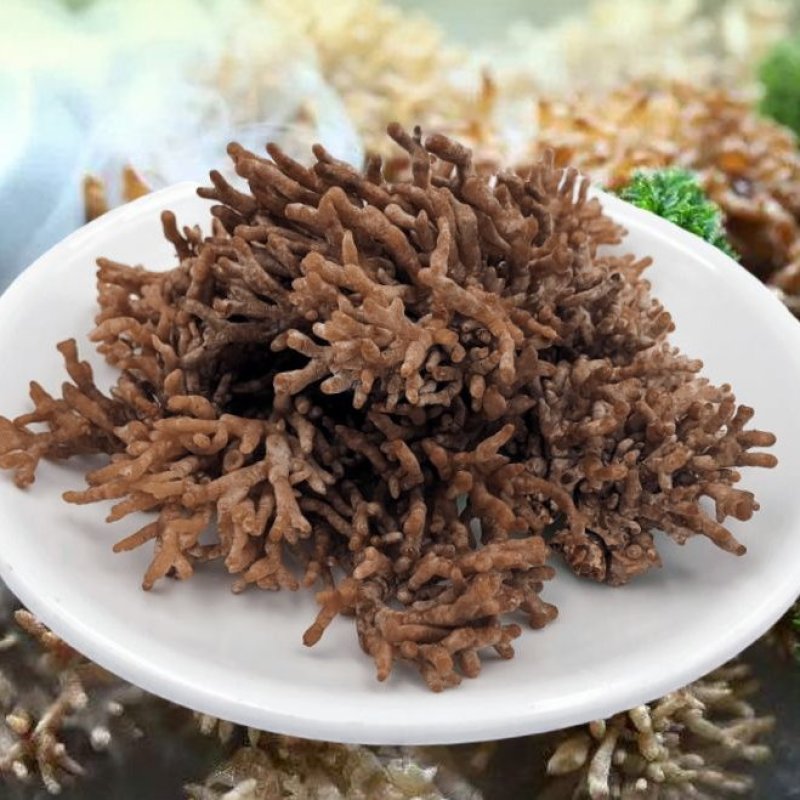 新鲜龙爪菌 老鼠爪