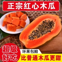 海南红心牛奶木瓜/红心木瓜/冰糖木瓜/一件代发/顺丰包邮