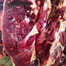 驴肉批发