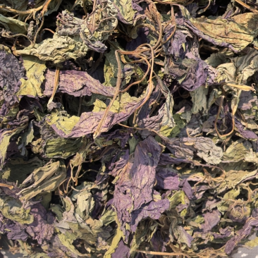 紫苏叶干精选紫苏饮片货含量够
