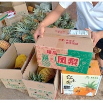 【金钻凤梨】大件装一件代发，支持各大电商平台社区团购