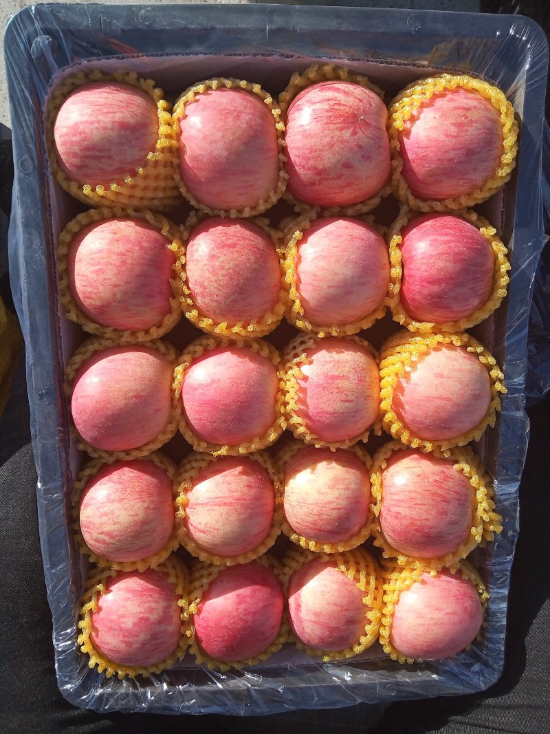 辽宁大连东北红富士苹果精品8090