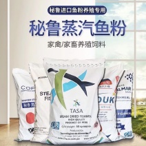鱼粉