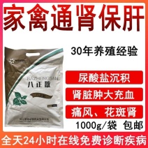 八正散鸡鸭鹅通肾保肝通肾肝肾肿大痛风花斑肾尿酸盐沉积