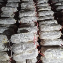 灵芝菌棒，产地自产直销，