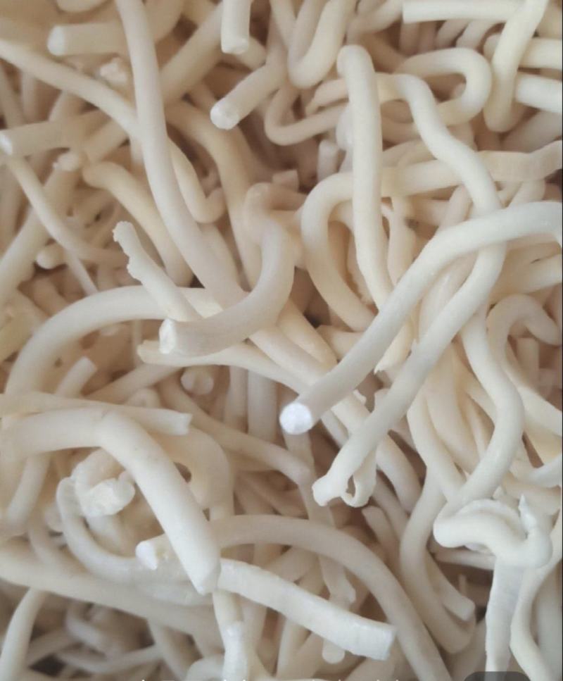 通草,大通草片,小通草,通气下乳,中药材通草