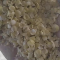 大豆皮