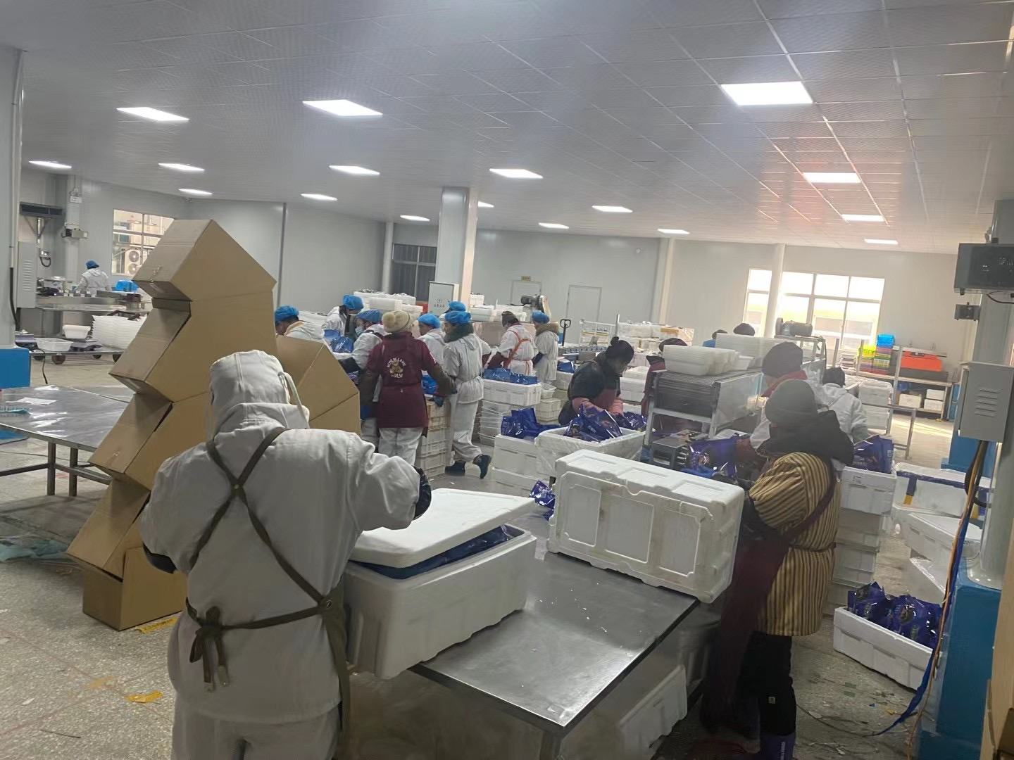 现代化保鲜水参加工与包装车间实景图 长白山保鲜水参加工包装车间