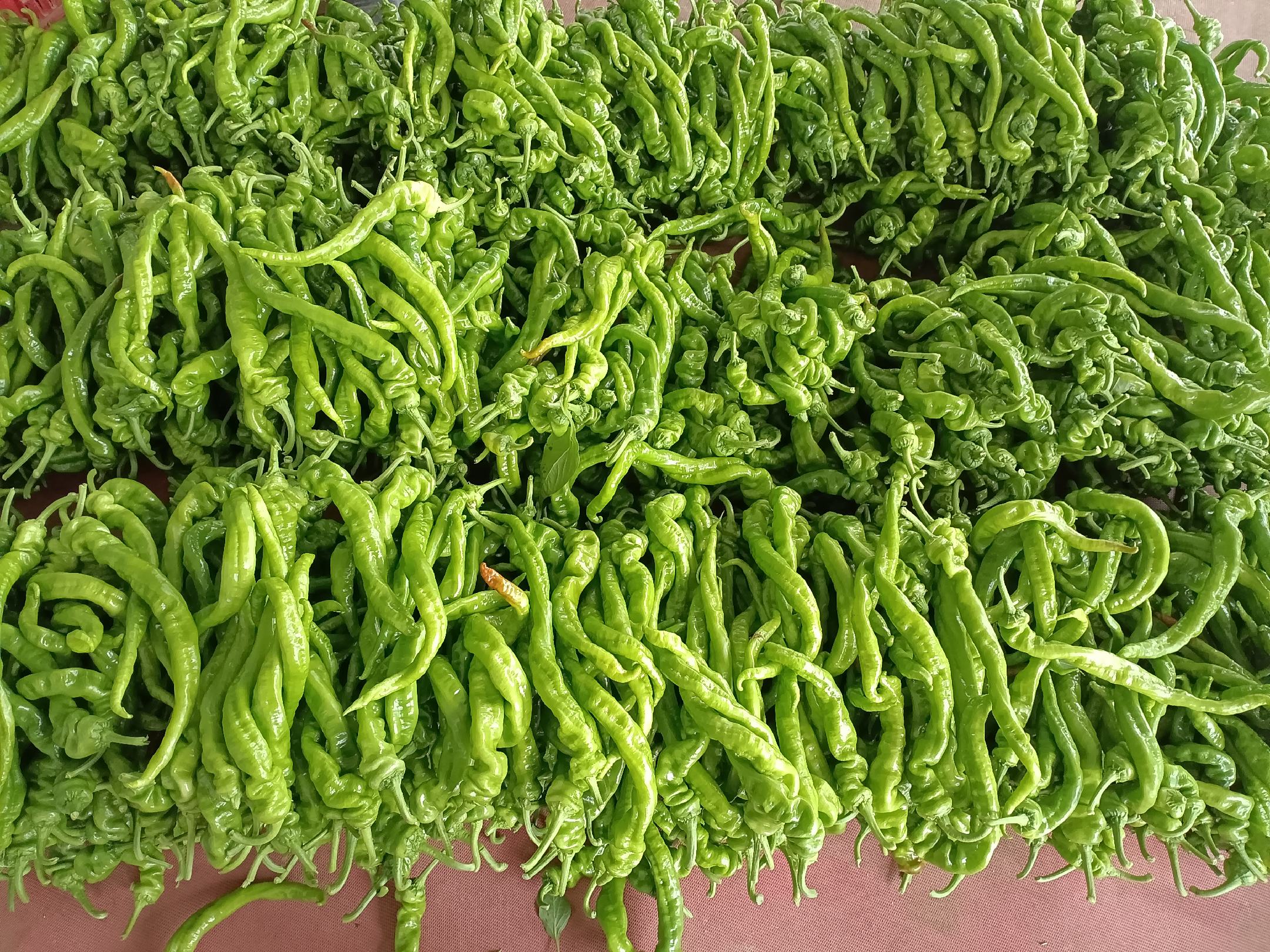 图片说明:新鲜的绿叶生菜与红辣椒并列摆放,展示两种食材的外观与颜色对比 生菜与辣椒的对比图