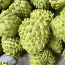 释迦果