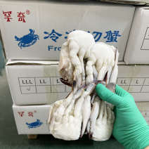 新鲜冷冻东港切蟹出口货切割蟹梭子蟹块高品质多种规格