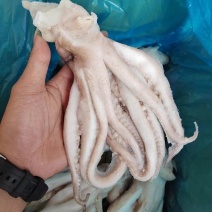 海产品