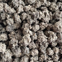 批发零售中药材猫爪草新货量大从优一件代发