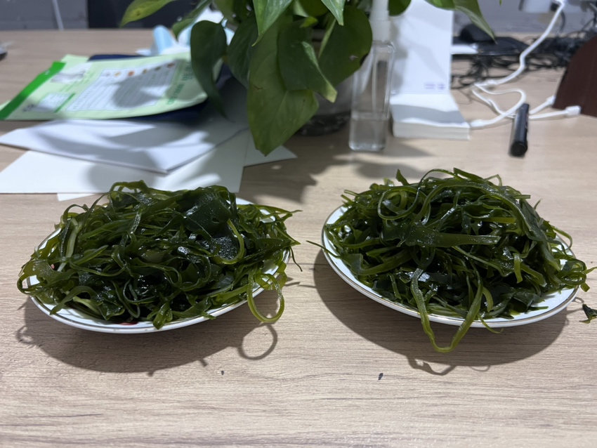 干海带切丝示范